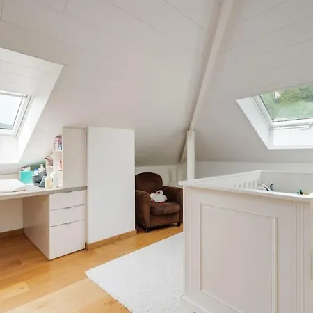 Villa Luxueuse A Nancy: « La Belle » *